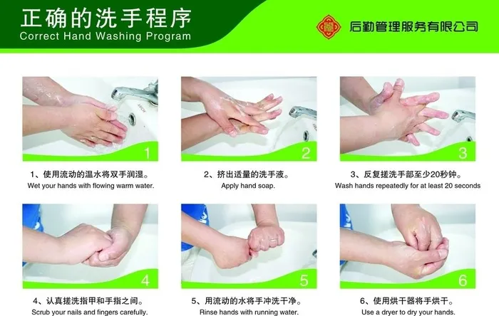正确的洗手程序图片cdr矢量模版下载
