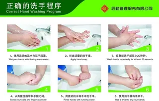 正确的洗手程序图片