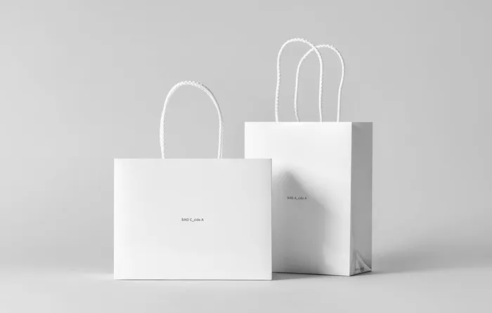 纸质手提购物袋样机PSD模板图片(4000x2670)psd模版下载