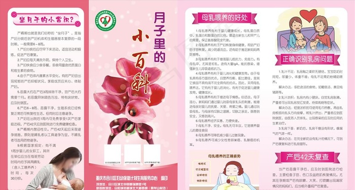 坐月子小百科对折页图片