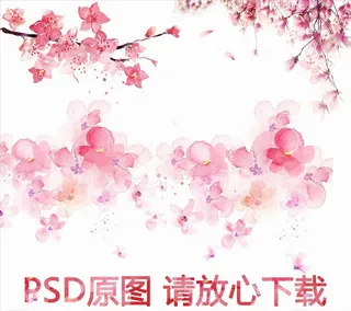花枝素材图片