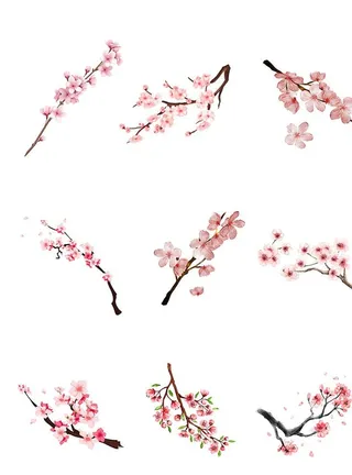手绘水彩樱花枝头矢量素材图片