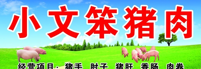 猪肉海报  图片(6339x2370)psd模版下载