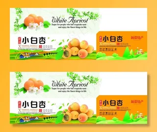 小白杏包装图片