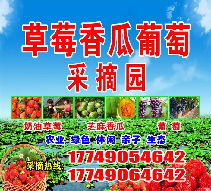 奶油草莓图片