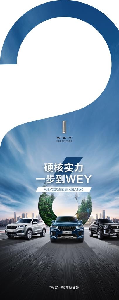 硬核实力 一步到WEY吊牌 总图片