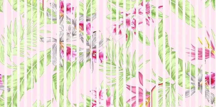 热带花图片