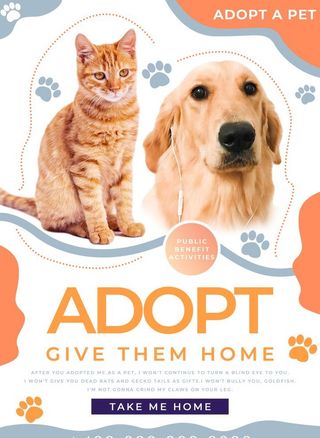 宠物店海报图片