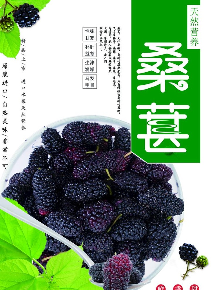 桑葚图片(2480x3508)psd模版下载