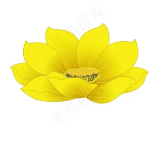 荷花矢量图图片