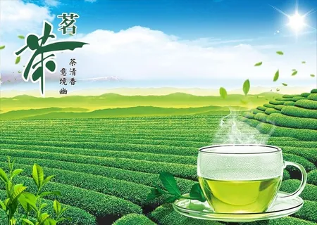 茶海报图片 茶海报图片
