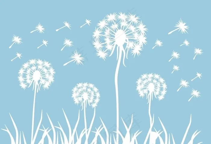 白色蒲公英。图片cdr矢量模版下载