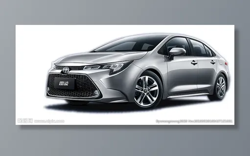 2019  全新雷凌图片