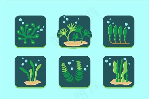 海洋生物图片 海洋生物图片