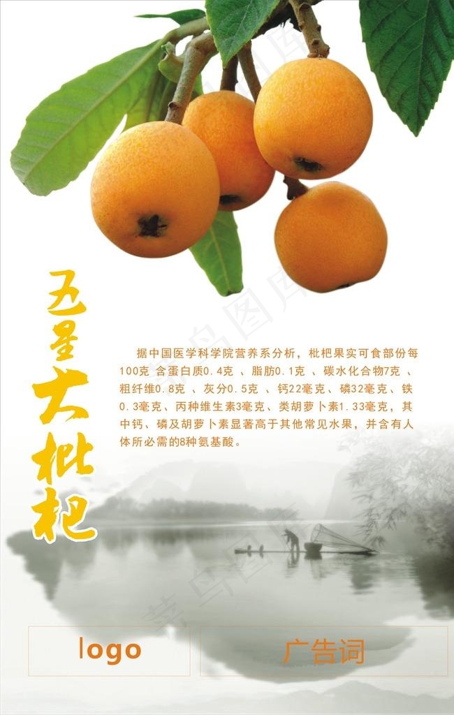 枇杷图片