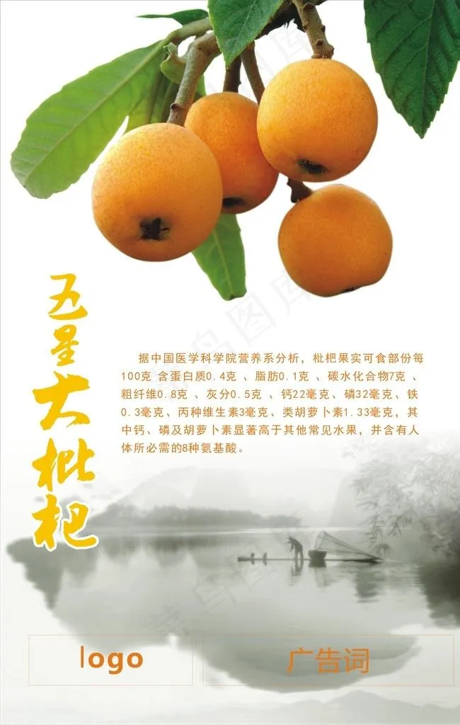 枇杷图片cdr矢量模版下载