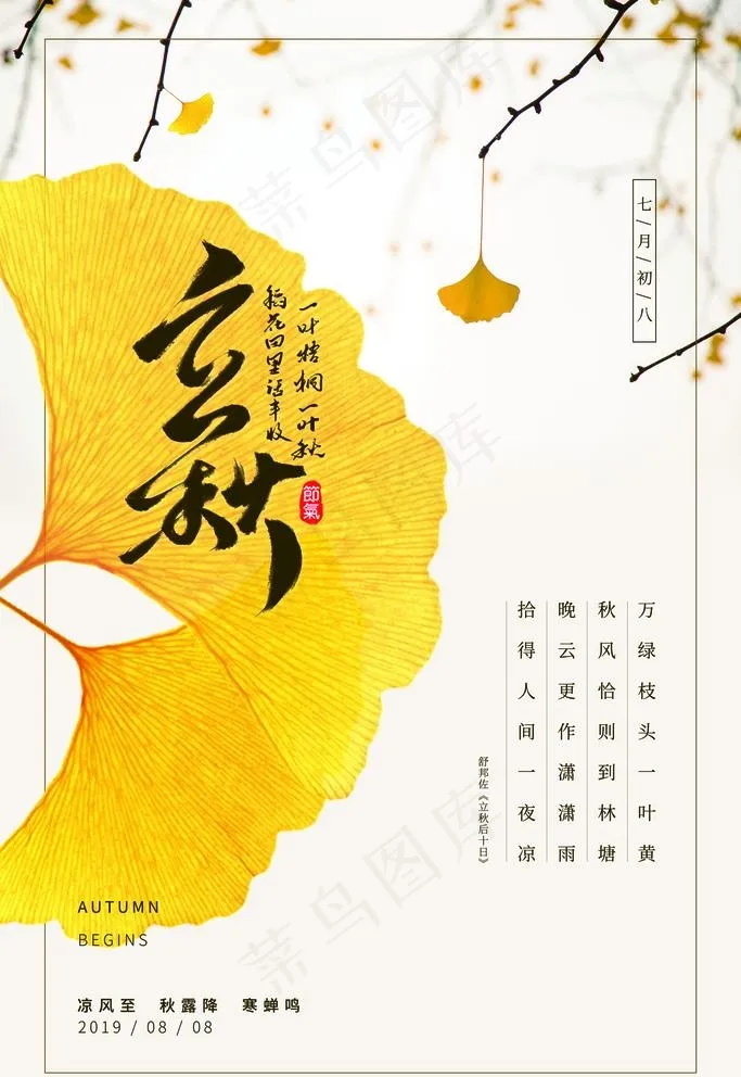 二十四节气海报之立秋杏叶图片