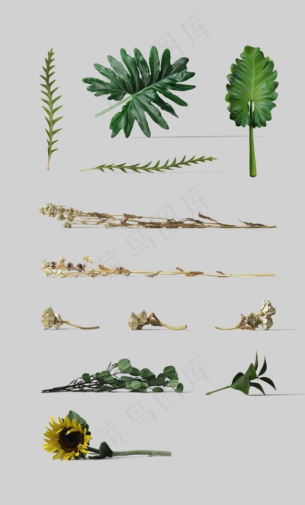 包装场景道具图片