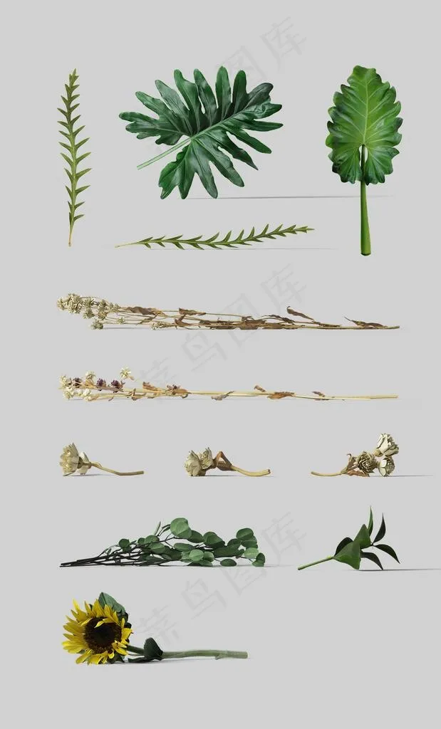 包装场景道具图片psd模版下载