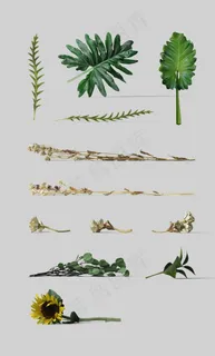 包装场景道具图片 包装场景道具图片