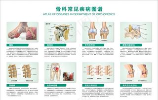 医院 骨科常见疾病图谱图片