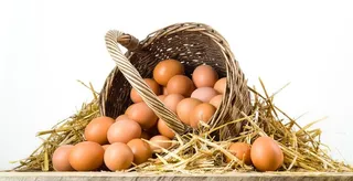 农家土鸡蛋图片