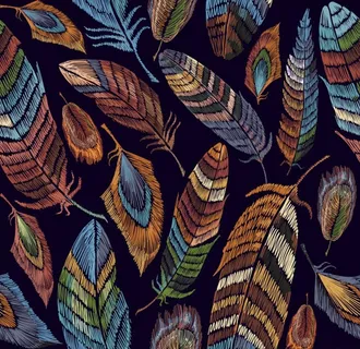 羽毛图片 羽毛图片