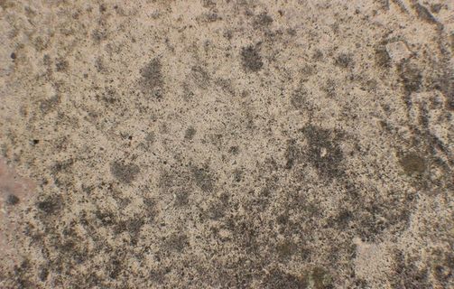 斑驳的墙壁图片 斑驳的墙壁图片