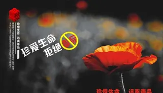 禁毒宣传标语图片