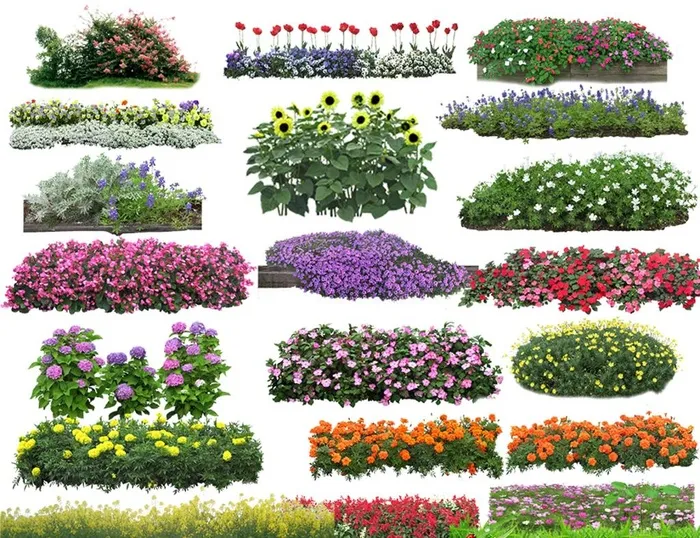 园林花草图片(900x720)psd模版下载