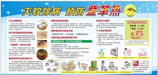 防登革热展板图片