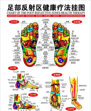 足部健康疗法挂图图片
