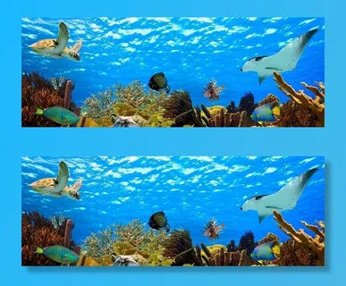 海底世界图片 海底世界图片