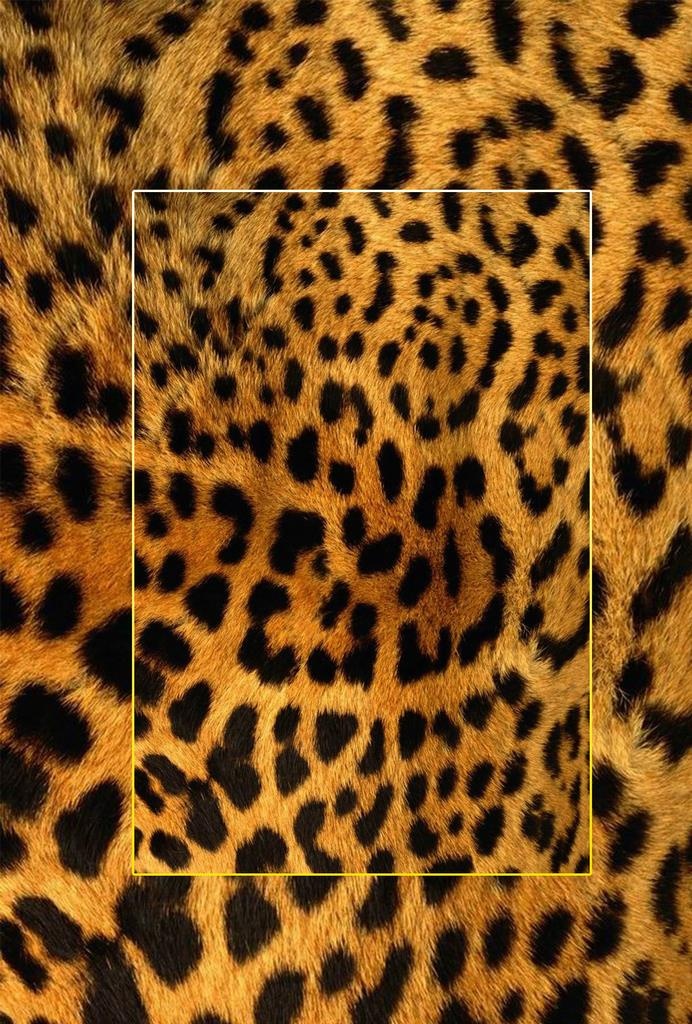 高清动物毛发背景JPG图片