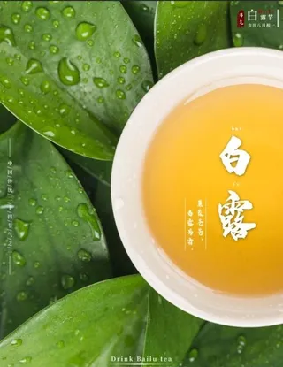 二十四节气白露图片