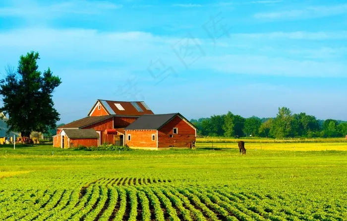农场图片