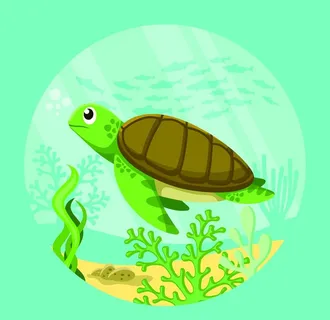 卡通乌龟图片 卡通乌龟图片