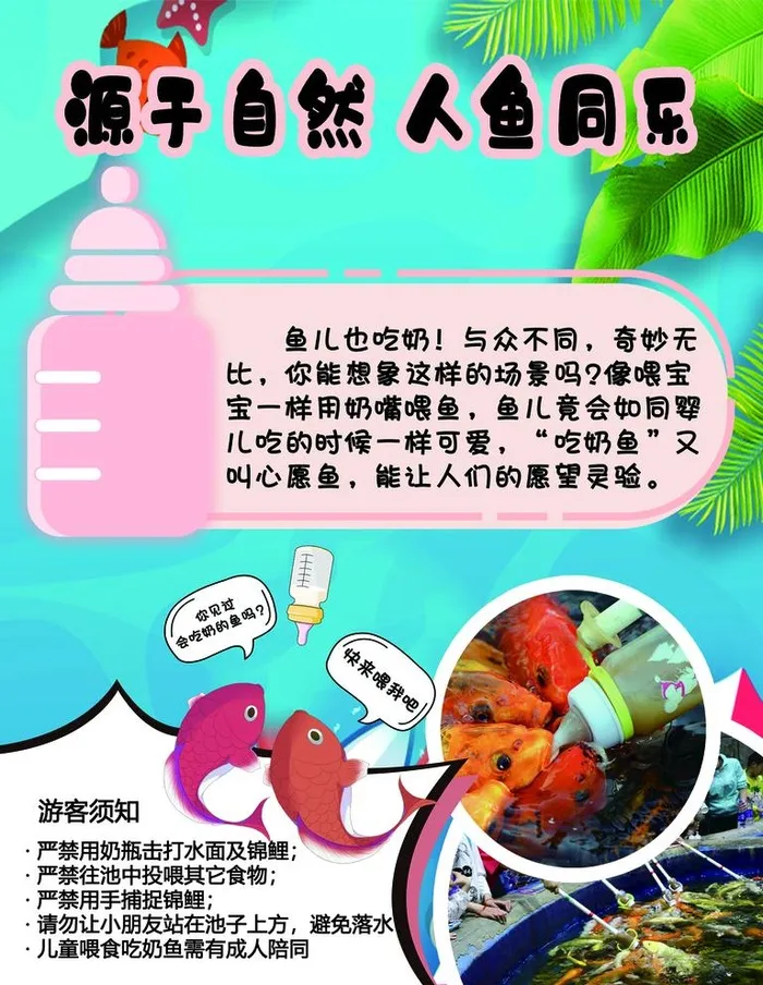吃奶鱼图片