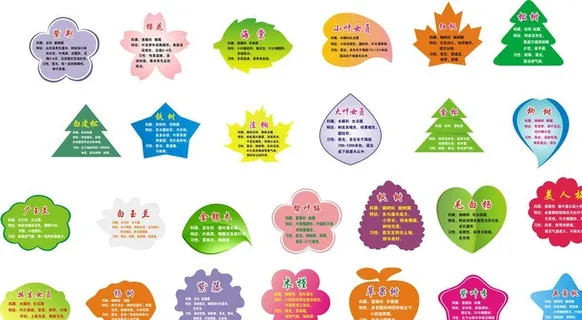 树木介绍牌图片