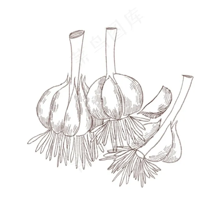 手绘食物 线描食物 食物线稿图片(2000x2000)psd模版下载