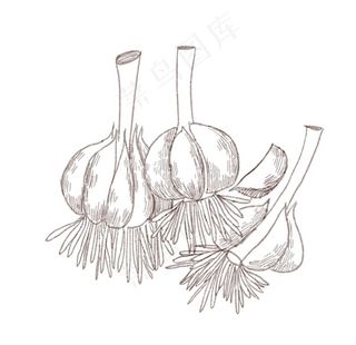 手绘食物 线描食物 食物线稿图片