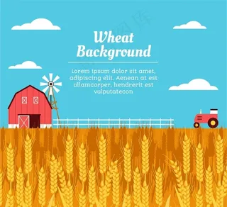 农场丰收麦田图片