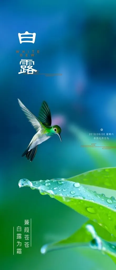 白露图片psd模版下载