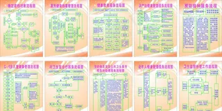 公共卫生服务流程图图片