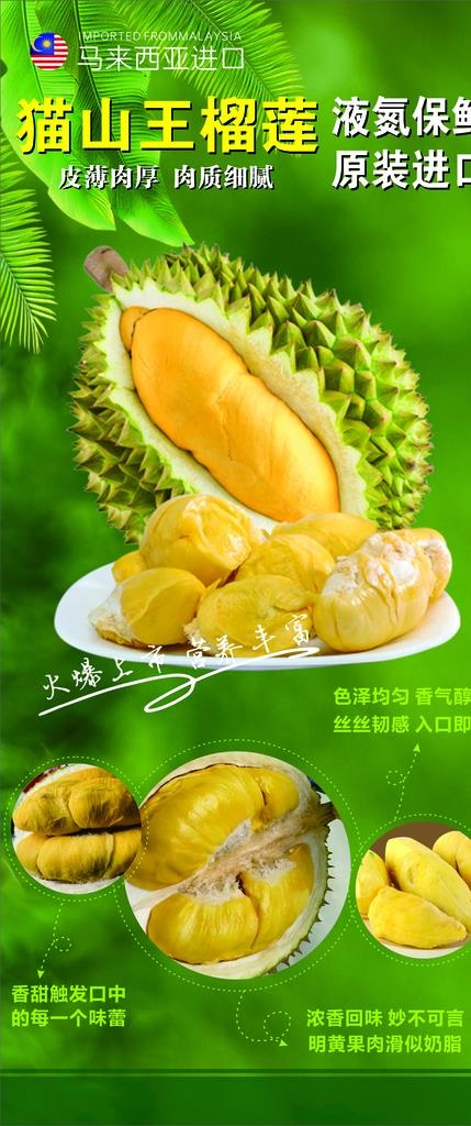 猫山王榴莲图片cdr矢量模版下载