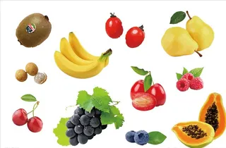 手绘水果矢量元素图片