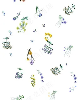 小碎花图片 小碎花图片