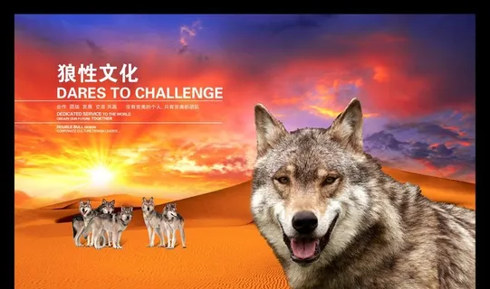 企业文化图片 企业文化图片