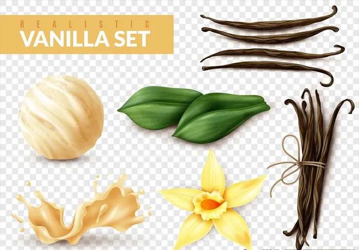 香草套装图片ai矢量模版下载