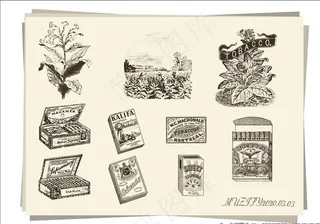 烟草制品手绘稿图片